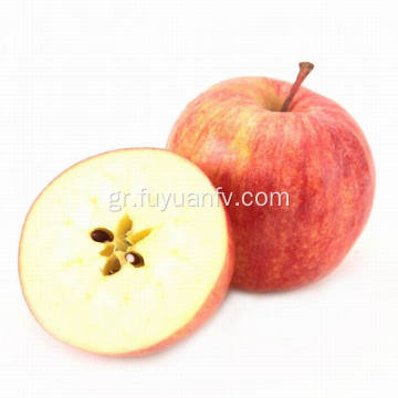Εξαγωγή Η κορυφαία ποιότητα Fresh μήλο Fuji (64-198)